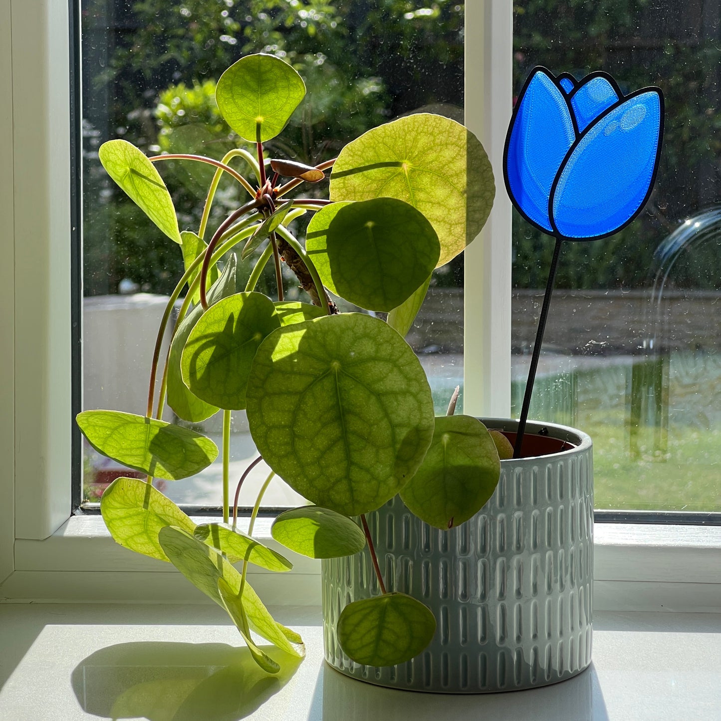 Blue tulip decorative stem displayed in a houseplant pot beside a sunny window.