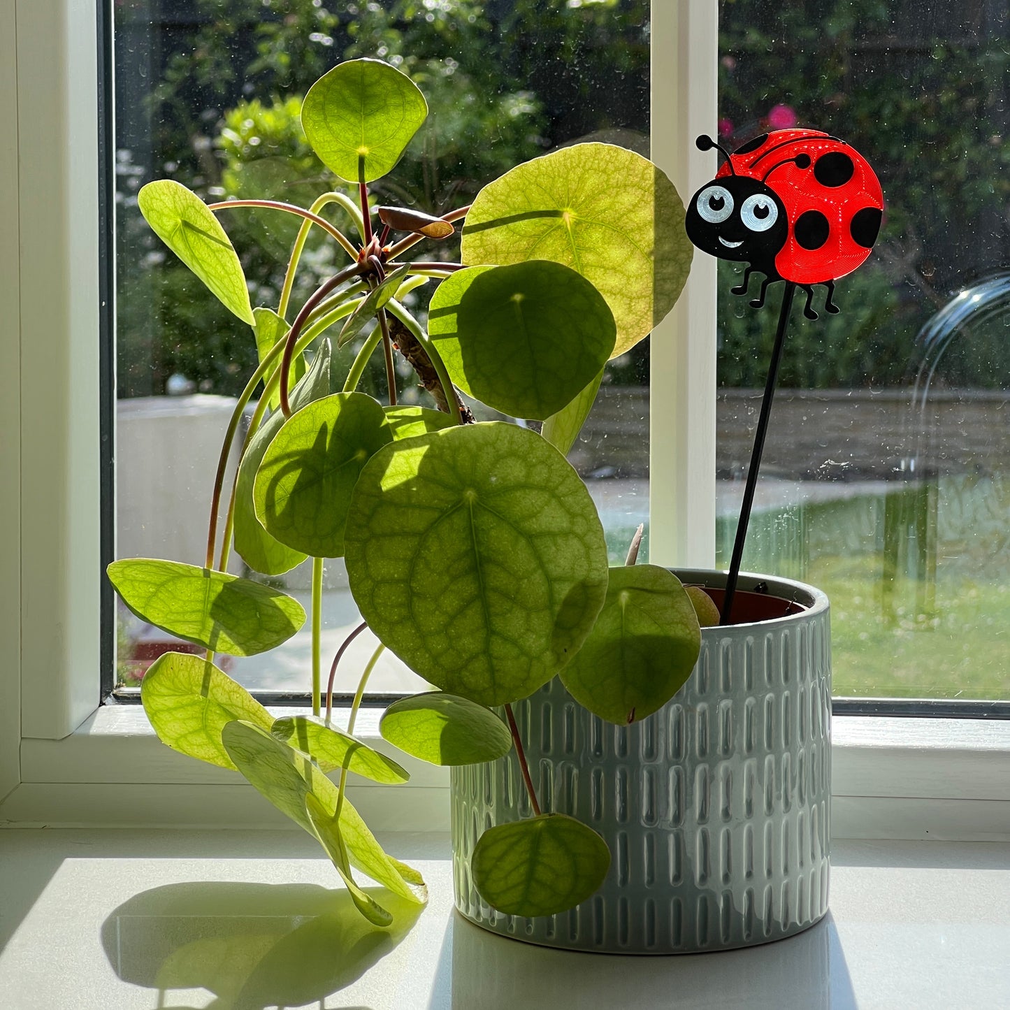 Ladybird decorative stem displayed in a houseplant pot beside a sunny window.
