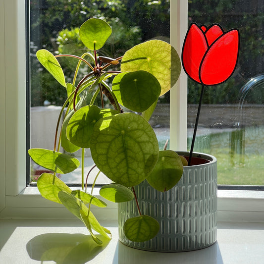 Red tulip decorative stem displayed in a houseplant pot beside a sunny window.