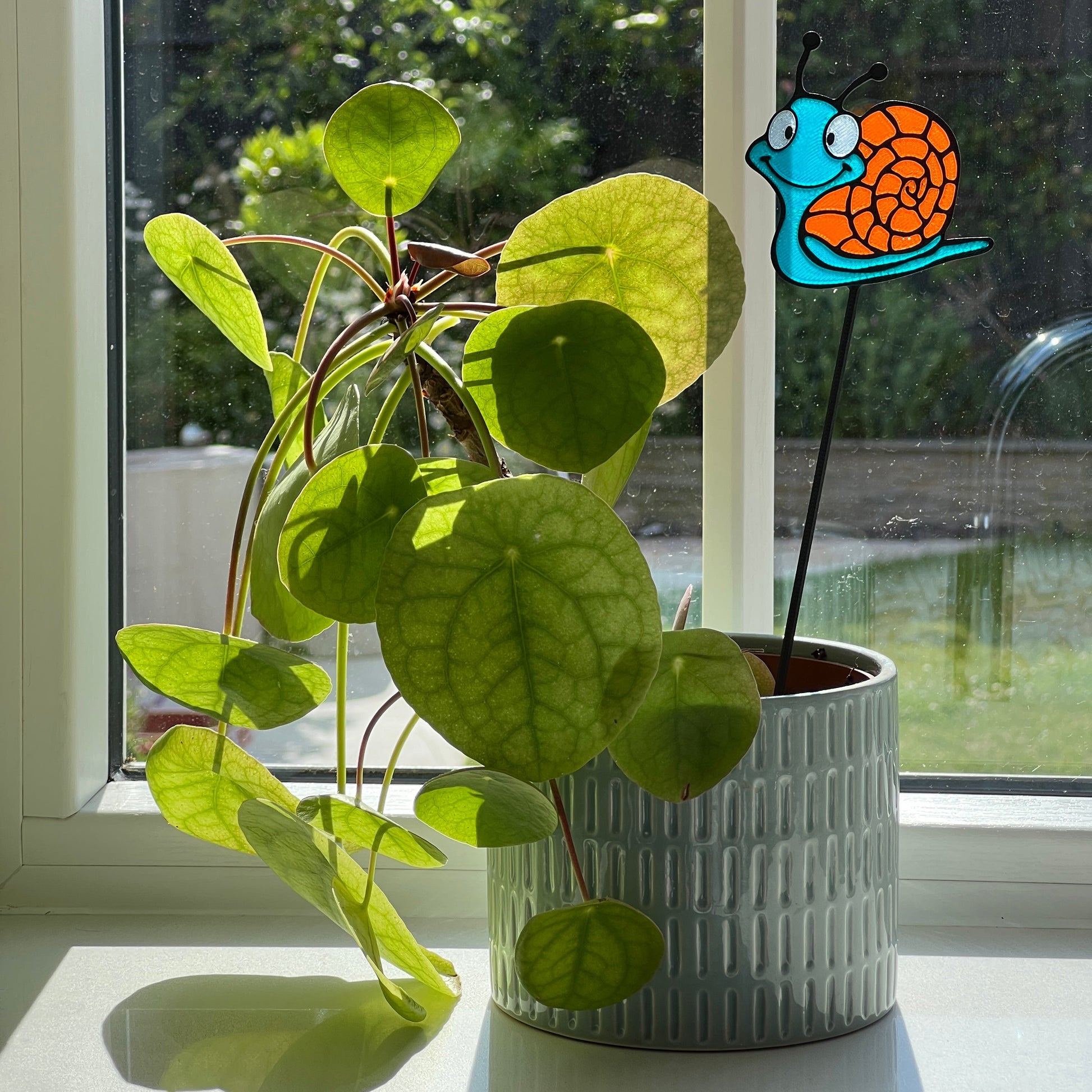 Colourful snail decorative stem displayed in a houseplant pot beside a sunny window.